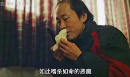 变态快乐在线观看,揭秘网络直播的另类魅力